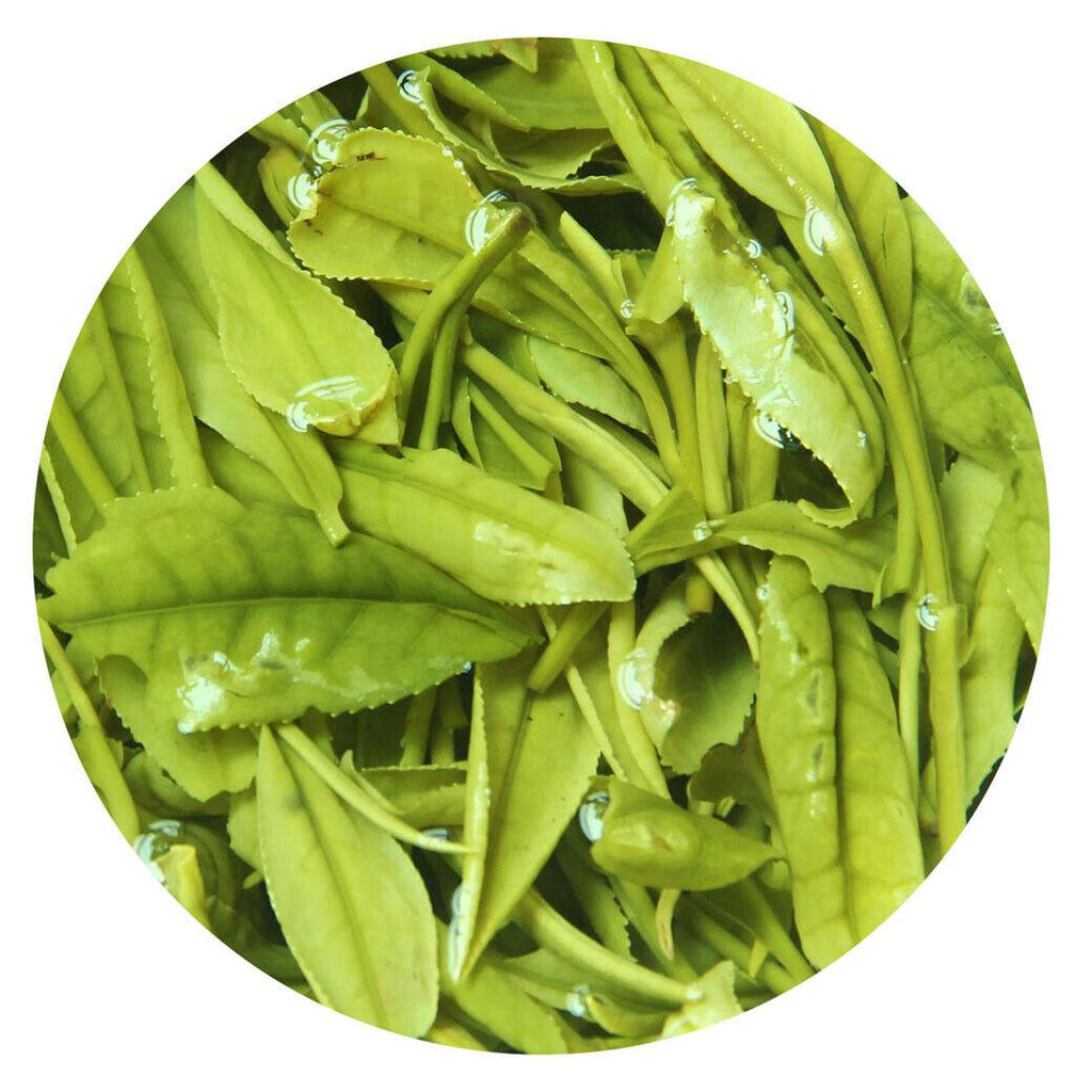 HELLOYOUNG 100g Premium Anji Baicha Baipian White Slice Tea Spring GREEN TEA
