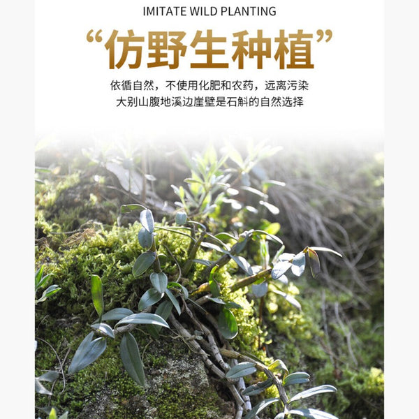 HelloYoung 100%pure Shihu Tiepi Dendrobium Powder Natural Health HerbalTea修正霍山铁皮石斛粉纯粉天然保健草本