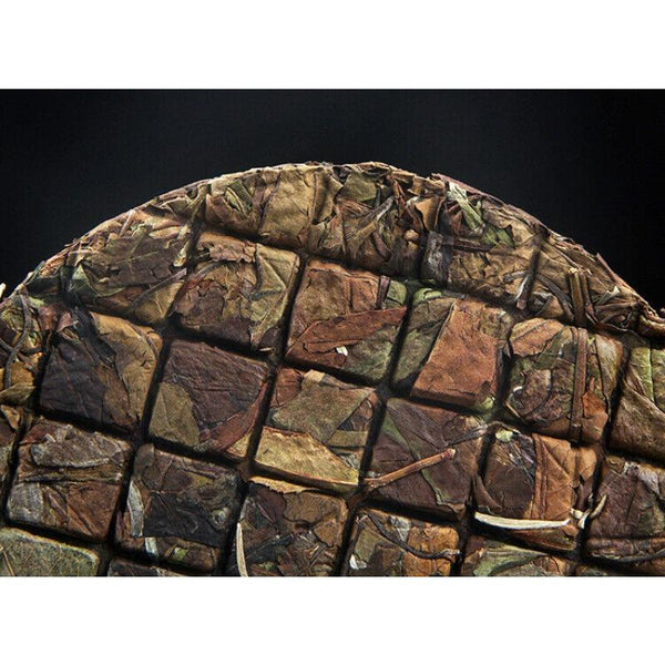 HelloYoungTea 200g Ancient Tree Tea Old White Tea Yunnan Yiwu Flower and Fruit Tea Cake