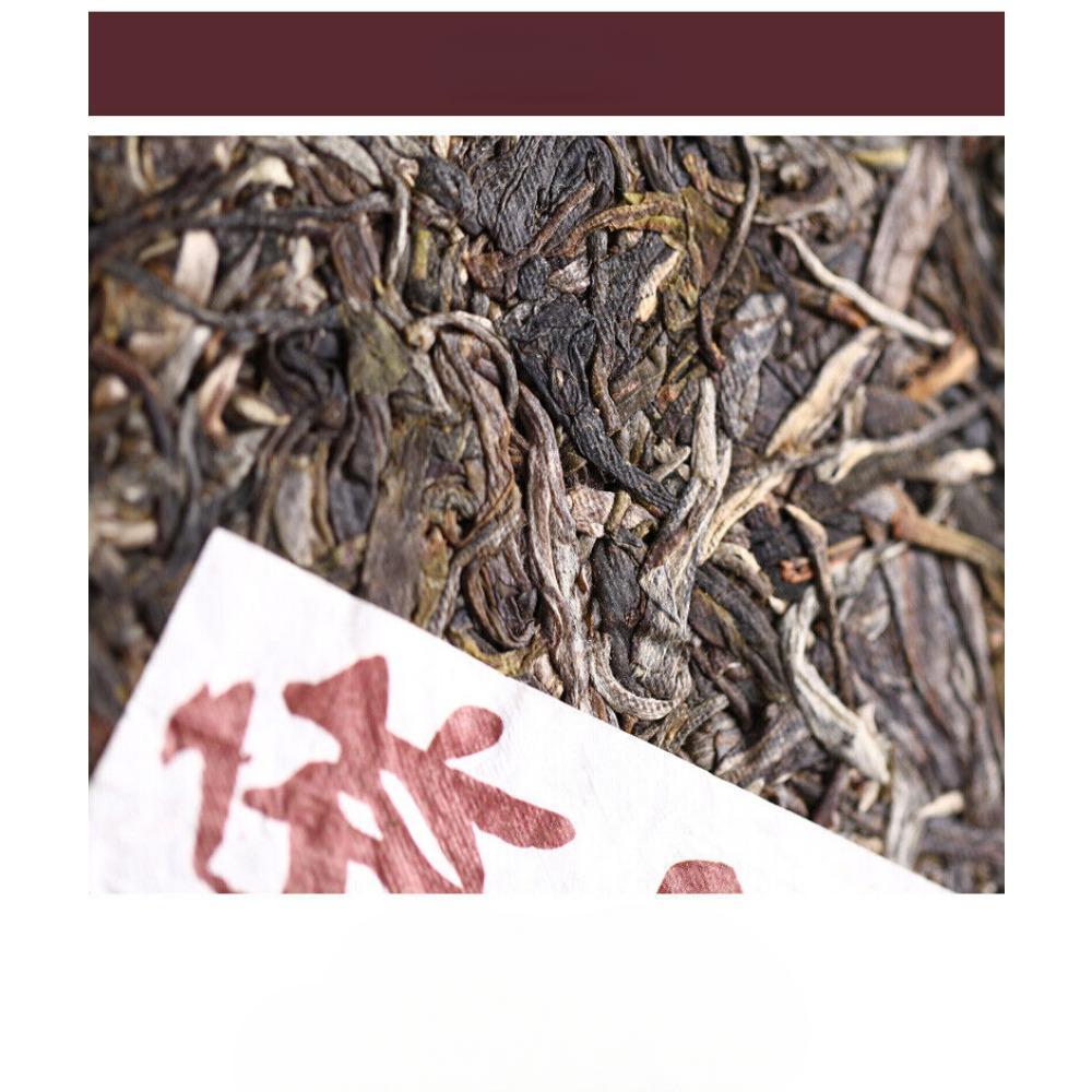 Ma Hei Famous Old Tree Pu'er 500g Haiwan Yi Wu Zheng Shan Shen Puer Tea