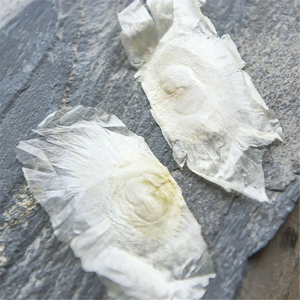 HelloYoungTea Health Chinese Tea Naturally Grown Rosebud Flower Floral Herbal Dried
