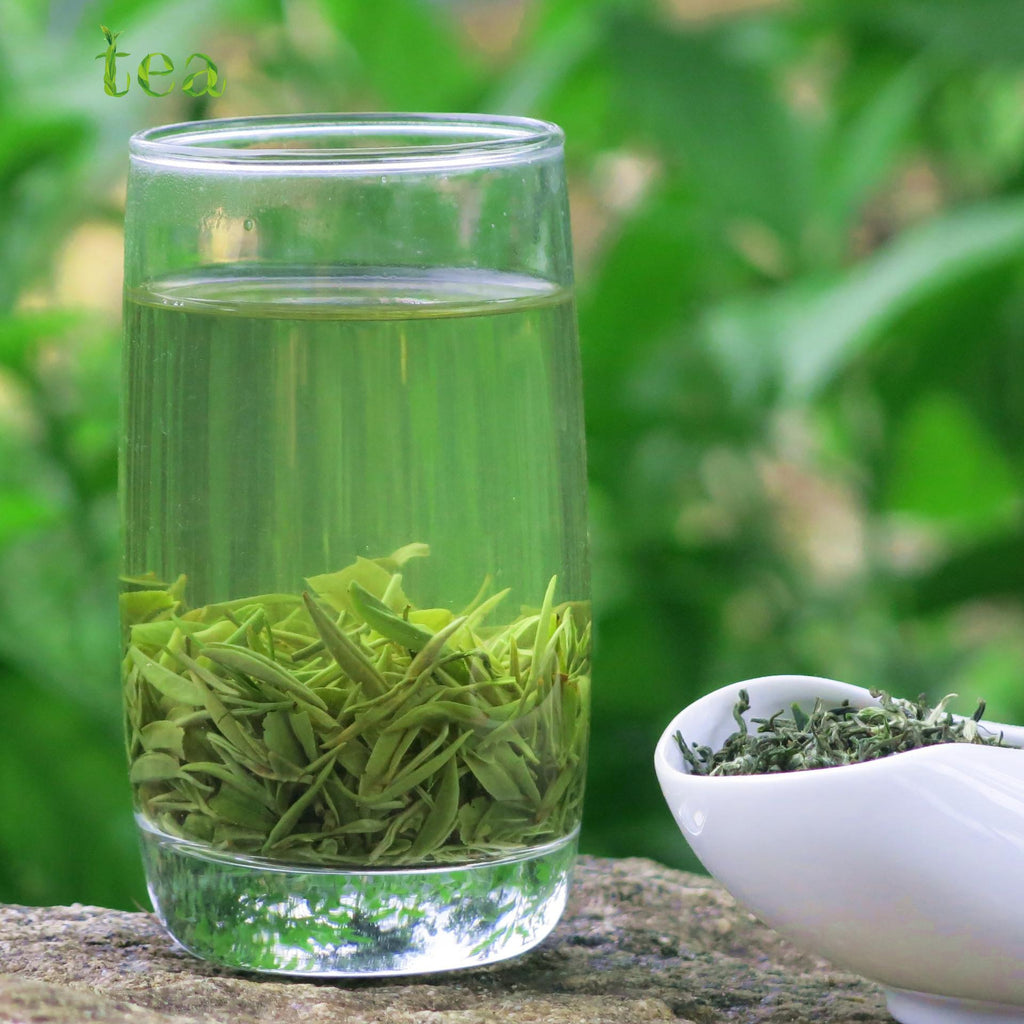 HelloYoungTea 2023 Hubei New Tea, Wushan Brand Spring Green Tea with White Tips and Strong Aroma, Yingshan Yunwu Tea 2023年湖北新茶，巫山牌白毫浓香春绿茶，英山云雾茶