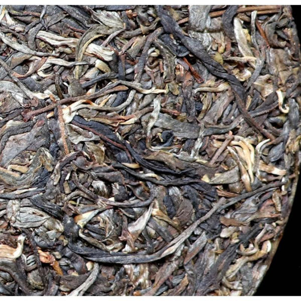 HelloYoungTea Yunnan Mengku Xigui 2021 Premium Ancient Big Tree Pu-erh Raw Cake 357g
