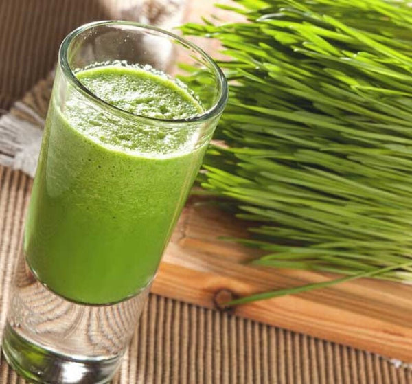 HelloYoung Barley grass official store Organic Barley Grass Powder original 250g moistening intestines, burning fat
