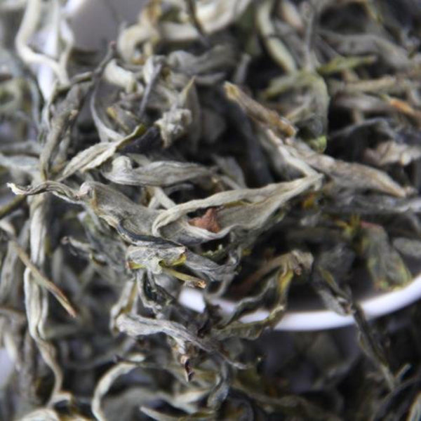 HelloYoungTea 2015 Ancient Tree Dayiya Tea Puer Tea Spring Tea Dashu Tea Raw Tea 500g 2015年古树茶 普洱茶 春茶 大树茶 生茶 500克