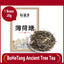 HelloYoungTea Xinyihao Yiwu Mintang Pu'er Raw Tea: Yunnan Ancient Tree Loose Tea for Daily Delight