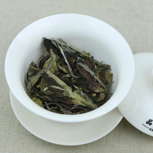 HelloYoungTea 1050g Premium Fujian Bai Mu Dan White Peony Fuding Bai Cha China White Tea Cake