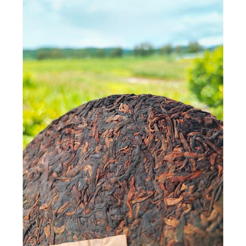 HelloYoungTea 357g Old Panzhang Pu'er Ripe Tea Cake Menghai Aged Pu'er Tea Cake HongJinYin