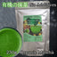 HelloYoung Matcha Green Tea Powder Finest Premium Grade Ceremonial Matcha Japanese Tea For Detox Energy matcha green tea powder