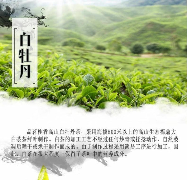 HelloYoungTea 500g Premium Organic Bai Mu Dan White Peony White Tea Spring Tea Loose Leaf Tea