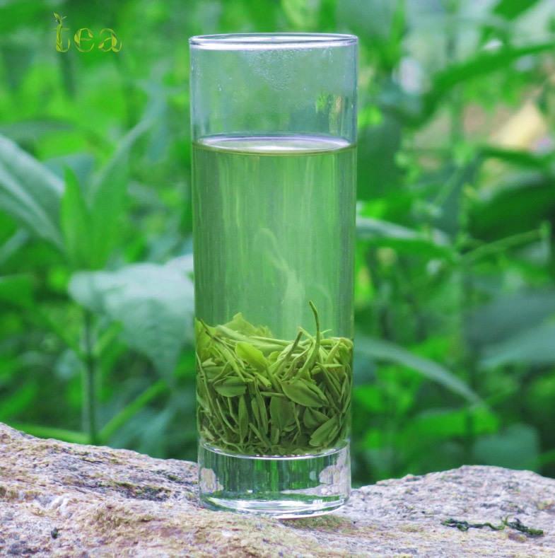 HelloYoungTea 2023 Hubei Yingshan Origin Green Tea, Wushan Chunyin Yunwu Tea with Good Taste, 100g Maojian in Sachets 2023年湖北英山原产绿茶，巫山春饮云雾茶，口感好，100克袋泡毛尖