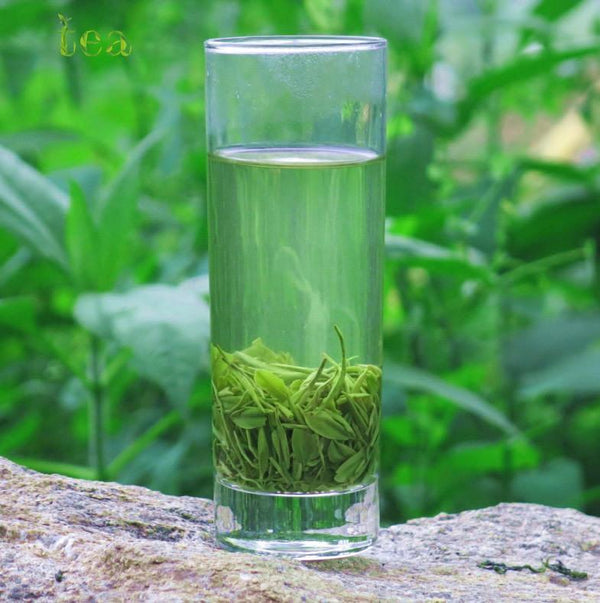 HelloYoungTea 2023 Hubei Yingshan Origin Green Tea, Wushan Chunyin Yunwu Tea with Good Taste, 100g Maojian in Sachets 2023年湖北英山原产绿茶，巫山春饮云雾茶，口感好，100克袋泡毛尖