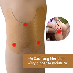 Knee Medical Plaster Wormwood Extract Knee Joint Ache Pain Relieving Sticker Knee Rheumatoid Arthritis Body Patch D1802  12pcs
