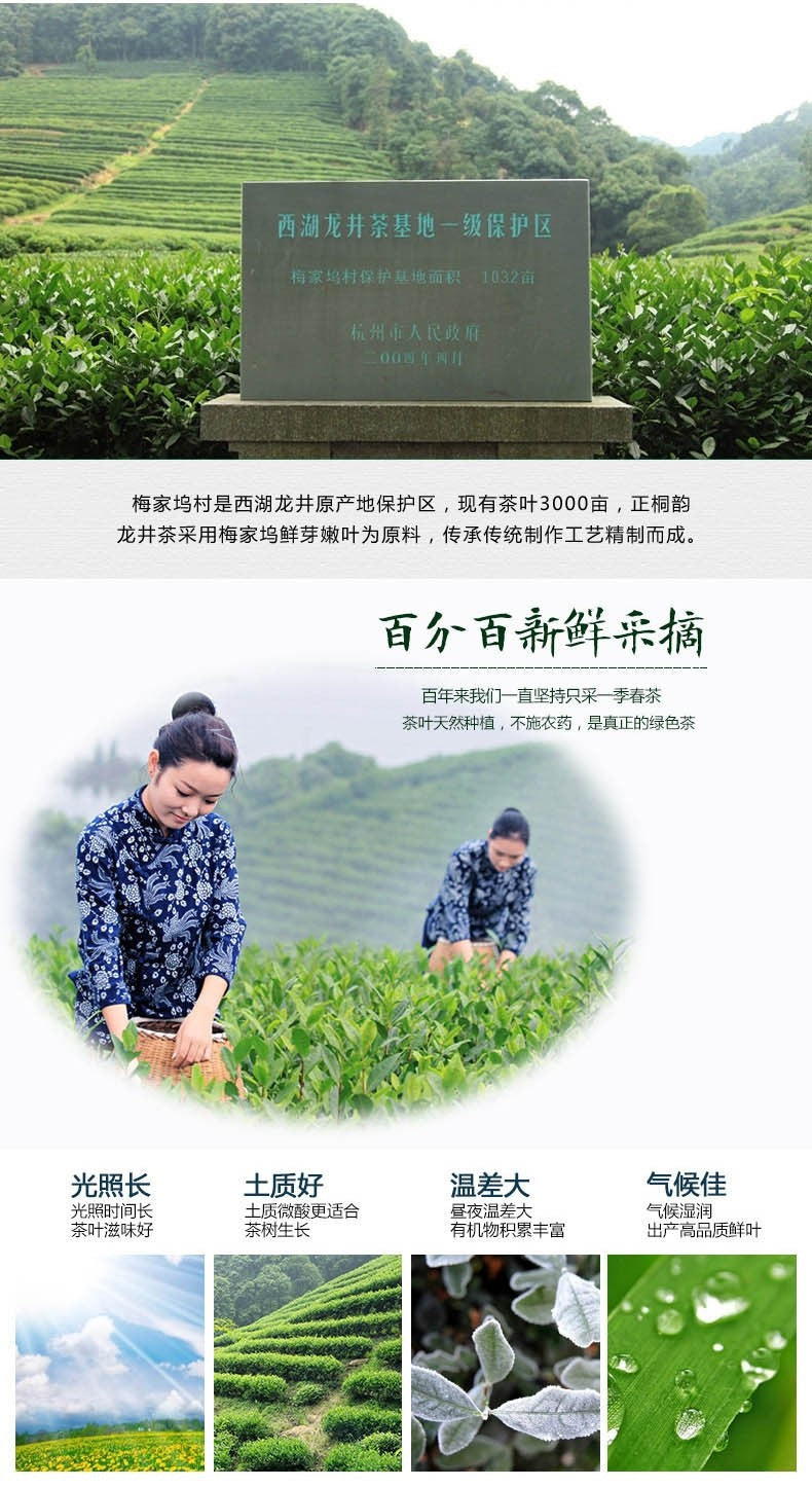 HelloYoung250g China Famous Good Quality Dragon Well Spring Longjing Green Tea for Health