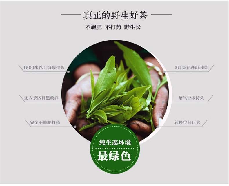 HelloYoungSpring green tea raw pu-erh tea pu erh tea 200g yunnan Sheng Tea Green Food