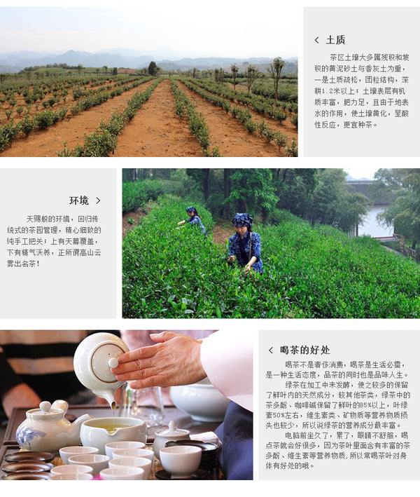 HelloYoungChinese Tea Longjing Tea Spring Green Tea West lake Longjing Tea 50g Long Jing tea