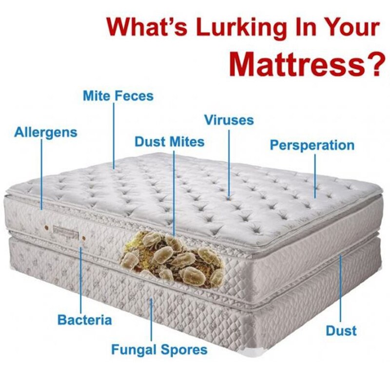 Herbal Dust Mite Eliminator Mite Remover Reduces Acne & itching Safe for use on your bed sheets, mattresses, pillows 2 Packs