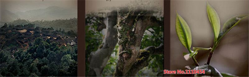 HelloYoungChinese Pu-erh tea Old Chen tea 200g cooked pure Tuo green food healthy Shu tea
