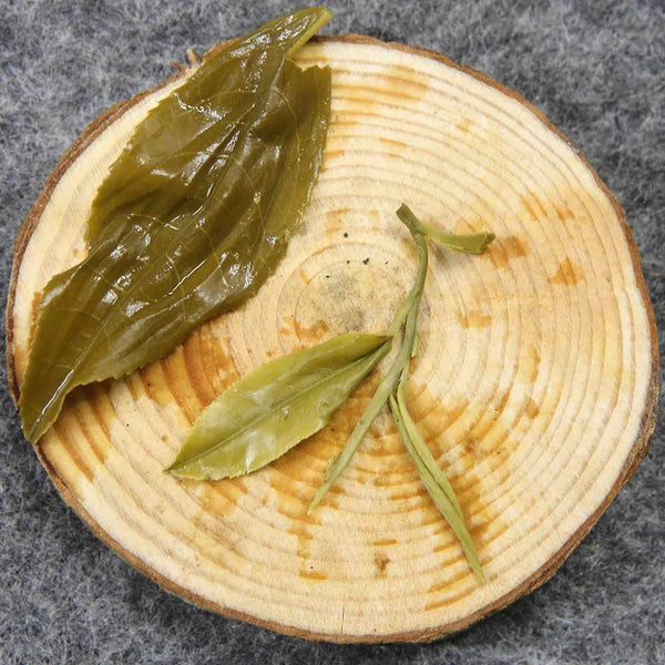 Premium quality loose leaf green tea showing delicate fuzzy leaves without machine processing