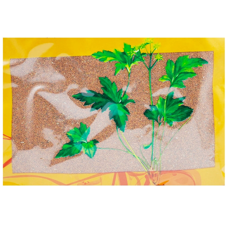 Wawasan Pharmaceuticals Chinese Herbal Drinks Drabanemerosa hebecarpa Herbal Medicine Net Preparation Chinese Herbal Medicine Grab & Go Chinese Herbal Medicine Shop 瓦屋山药业中药饮片 葶苈子 净制 中药材抓配 中药材店铺大全 Secondary image