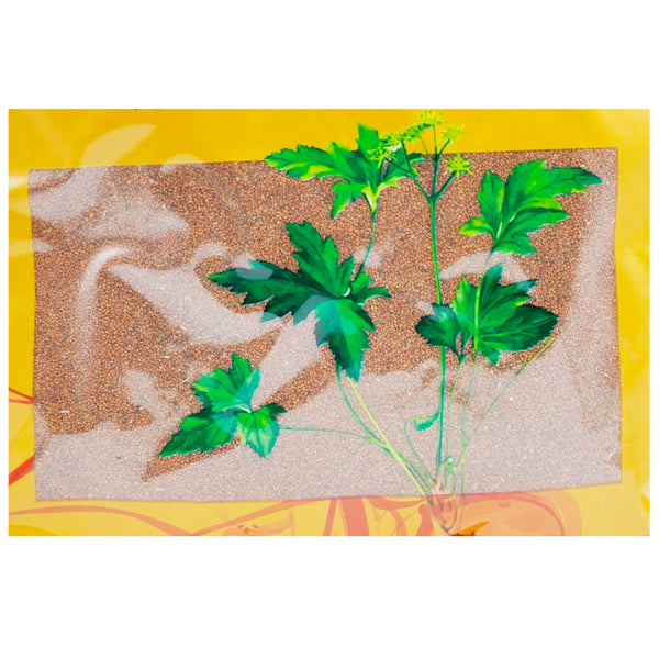 Wawasan Pharmaceuticals Chinese Herbal Drinks Drabanemerosa hebecarpa Herbal Medicine Net Preparation Chinese Herbal Medicine Grab & Go Chinese Herbal Medicine Shop 瓦屋山药业中药饮片 葶苈子 净制 中药材抓配 中药材店铺大全