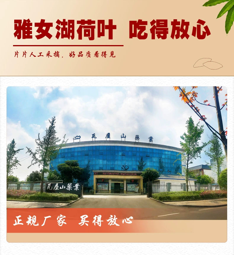 Yawei Lake Lotus Leaf 30g/bottle 雅女湖 荷叶 30g/瓶