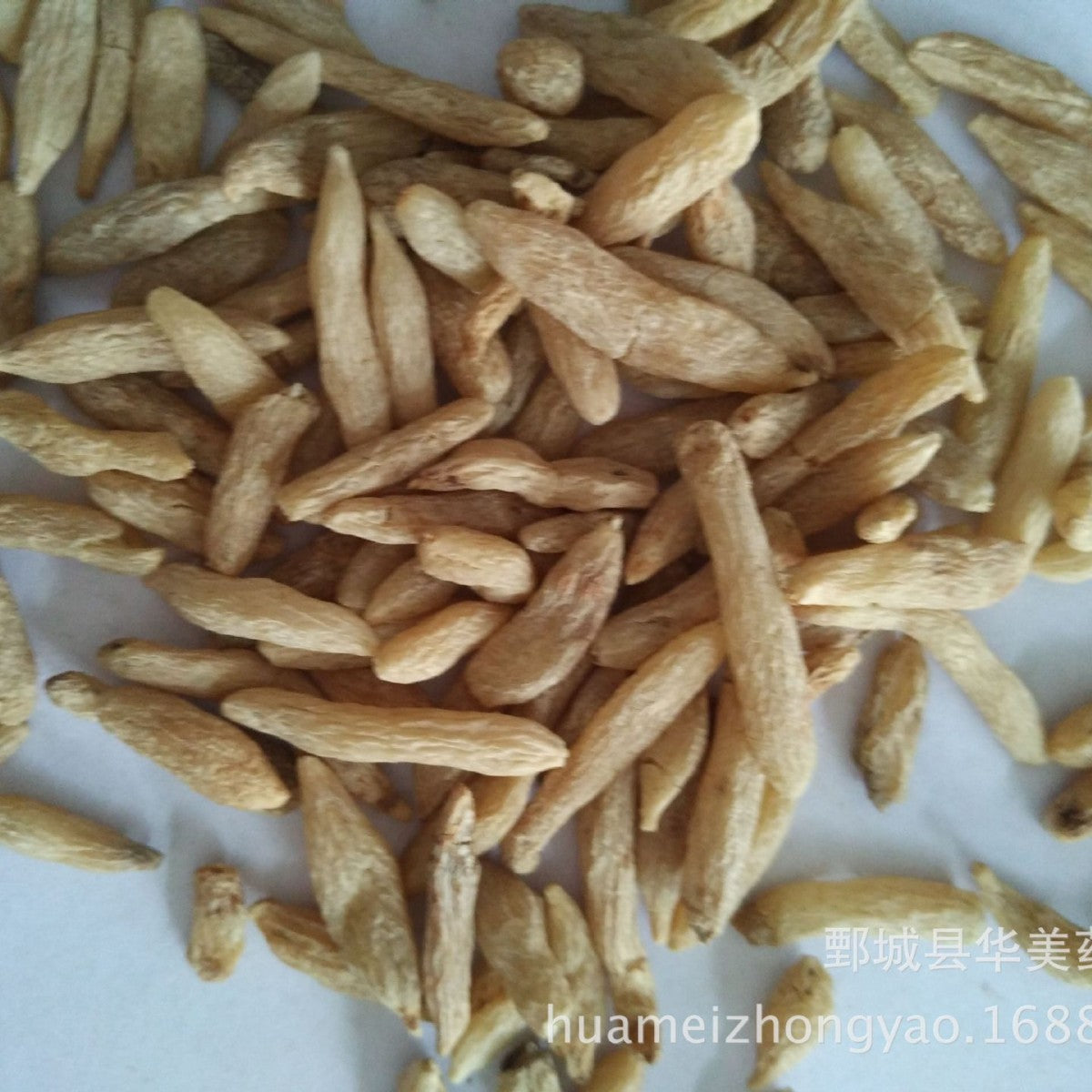 Cang Mai Dong 1000 grams. Huamei Traditional Chinese Medicine. Batch of medicinal herbs available for purchase. New arrivals of Mai Dong. Origin: Sichuan. 川麦冬1000克 华美中药 中药材批发现货供应 麦冬新货 产地四川