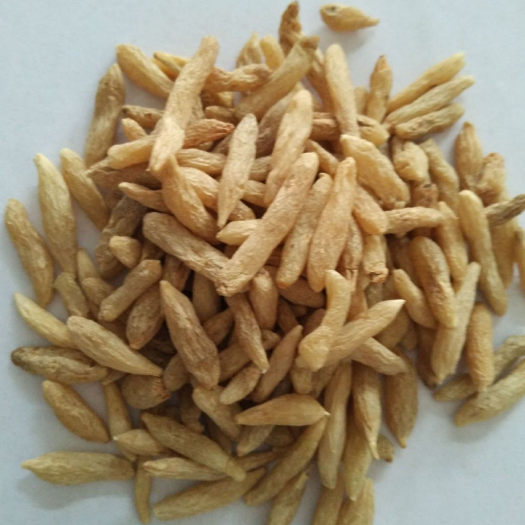 Cang Mai Dong 1000 grams. Huamei Traditional Chinese Medicine. Batch of medicinal herbs available for purchase. New arrivals of Mai Dong. Origin: Sichuan. 川麦冬1000克 华美中药 中药材批发现货供应 麦冬新货 产地四川