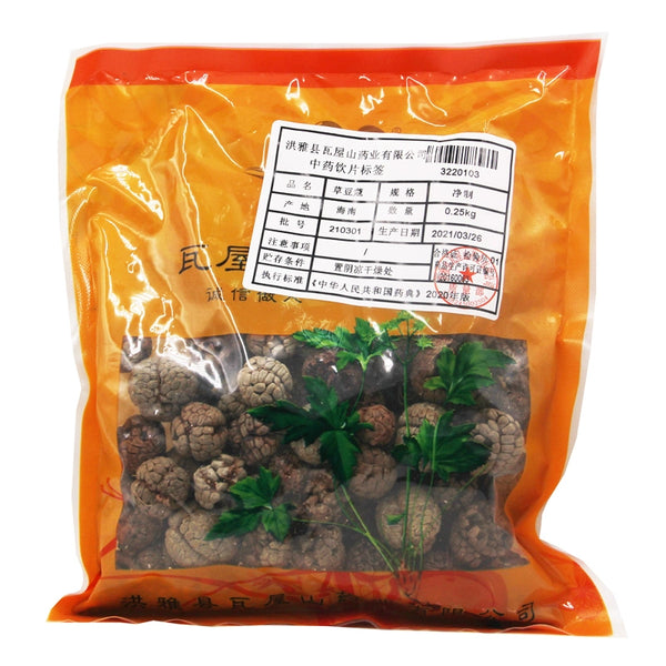 Wawasan Pharmaceuticals Chinese Herbal Drinks Herb Nutmeg Net Prepared Chinese Herbal Remedies Chinese Herbal Medicine Shop瓦屋山药业中药饮片 草豆蔻 净制 中药材抓配 中药材店铺大全