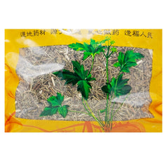 Wawashan Pharmaceuticals Chinese Medicine Drinks Elsholtzia Duan Chinese Herbal Medicine Shop 瓦屋山药业中药饮片 香薷 段 中药材抓配 中药材店铺大全