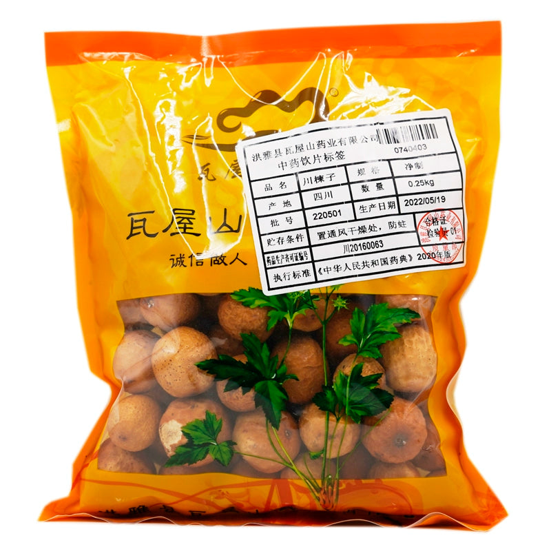 Wawasan Pharmaceuticals Chinese Herbal Drinks Neem Ziziphi Pure Chinese Herbal Remedies Chinese Herbal Shop 瓦屋山药业中药饮片 川楝子 净制 中药材抓配 中药材店铺