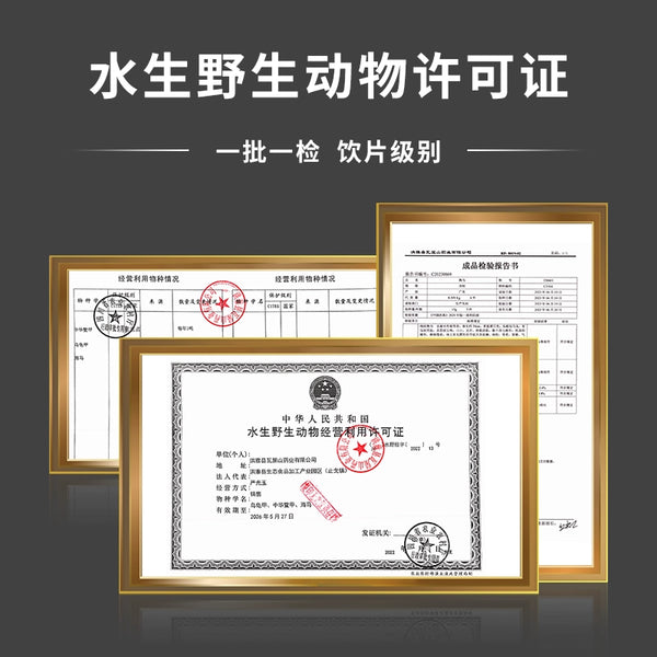 Wawashan Pharmaceuticals Chinese Medicine Drinks Seahorses Male and Female Pairs Chinese Herbal Medicine Grab and Go Chinese Herbal Medicine Shop Complete List 瓦屋山药业中药饮片 海马 公母配对 中药材抓配 中药材店铺大全