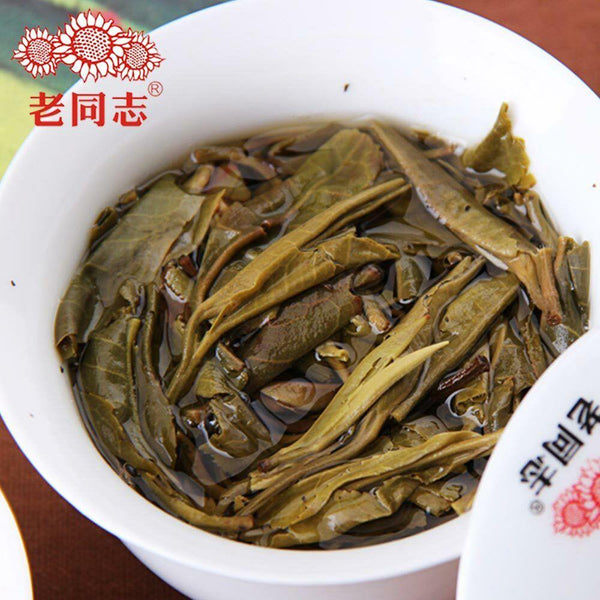Haiwan Tea 2016 Best Pu-erh Tea Old Comrades "Spring" Chun Lu Pu'er Tea 400g