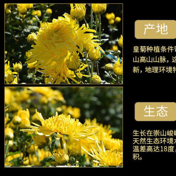 HelloYoungTea Chinese Chrysanthemum Tea Huangshan Golden Silk Chrysanthemum Blossom Tea 20g