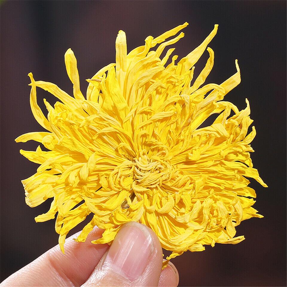 HelloYoungTea Golden Chrysanthemum Tea Flower Blossom Cooling Healing Floral Tea 100 Blooms