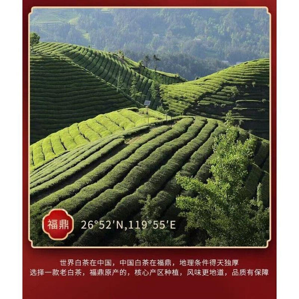 350g Fuding High Mountain Old White Tea High Mountain Sun White Tea Tea Cake