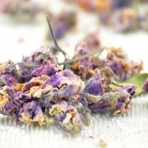 HelloYoungTea Luo Bu Ma Apocynum Venetum Herbal Tea