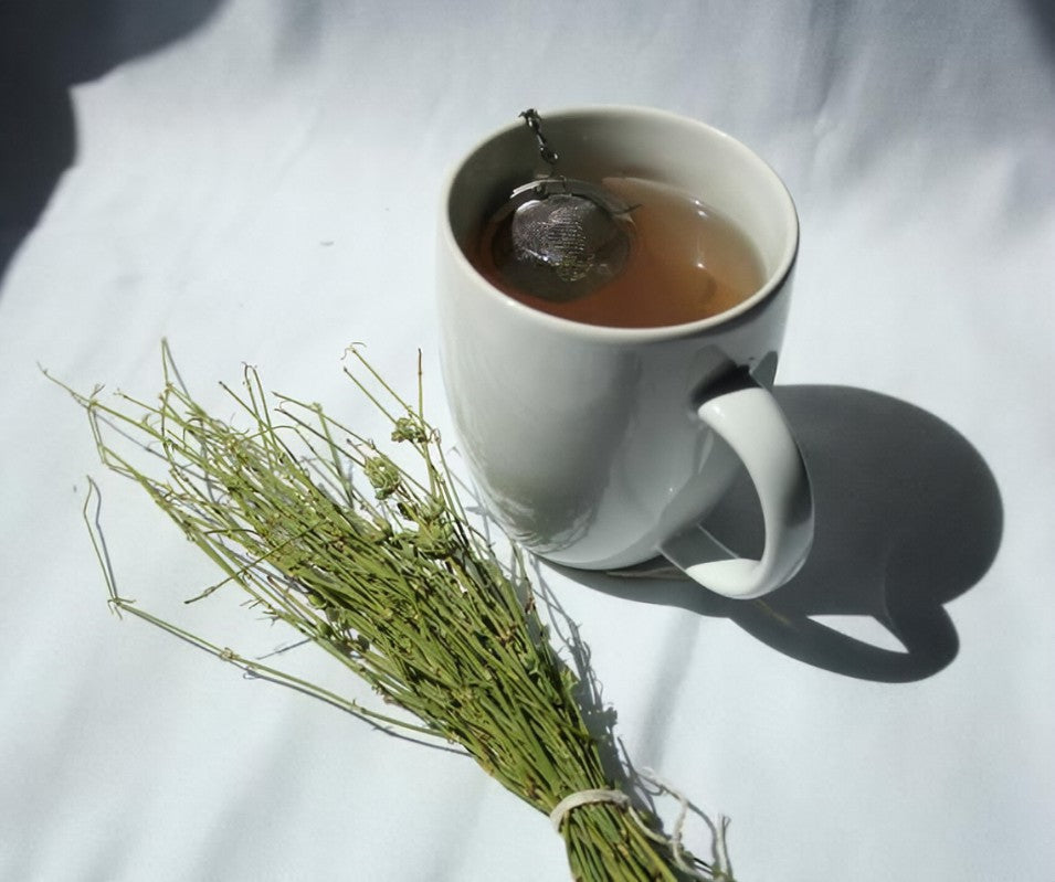 HelloYoung Somlata - Soma - Ephedra Vulgaris - Ephedra gerardiana (500 Grams) Secondary image