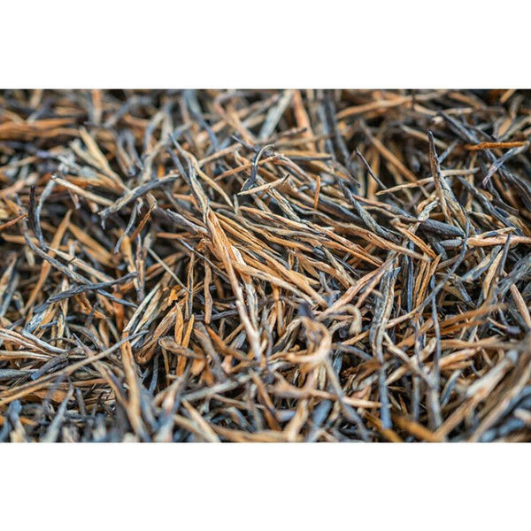 Yunnan Fengqing DianHong tea Pine Needle Un bourgeon une feuille Golden Needle