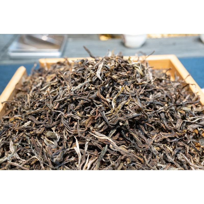 HelloYoungTea 500g Knowing Over Ancient Puerh Raw Tea Honey Scented Orchid Scented Green Tea