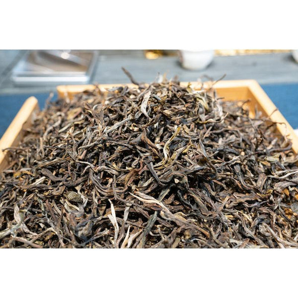 HelloYoungTea 500g Knowing Over Ancient Puerh Raw Tea Honey Scented Orchid Scented Green Tea