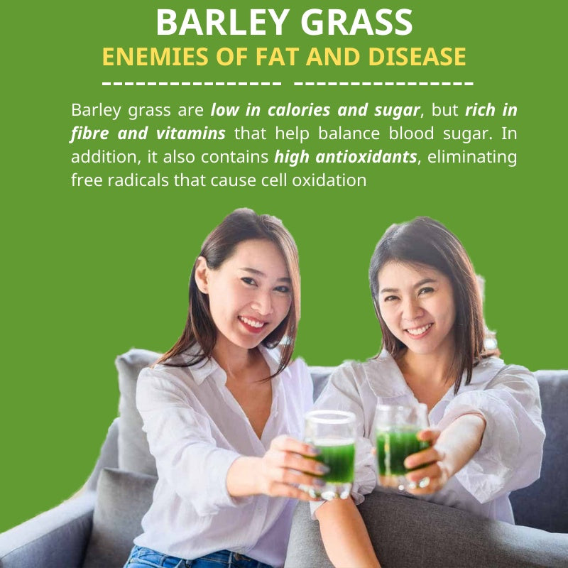 HelloYoung Organic Barley Grass Juice Powder Super Greens Powder Contains Iron Vitamin C, & Vitamin E – Non-GMO Gluten-Free Soy-Free Vegan