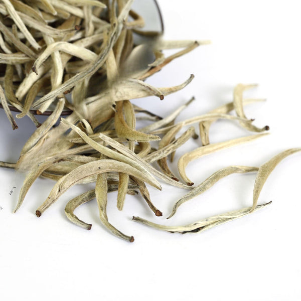 HELLOYOUNG 250g Supreme Silver Needle White Tea Bai hao Yin zhen Tips Loose