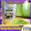 HelloYoung Barley grass official store Organic Barley Grass Powder original 250g  Contains Iron Vitamin C, & Vitamin E – Non-GMO Gluten-Free Soy-Free Vegan