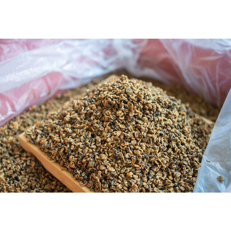 Fengqing Dian Hong Tea Gold Snail Spring Tea Yunnan Black Tea Red Snail Gold Bud