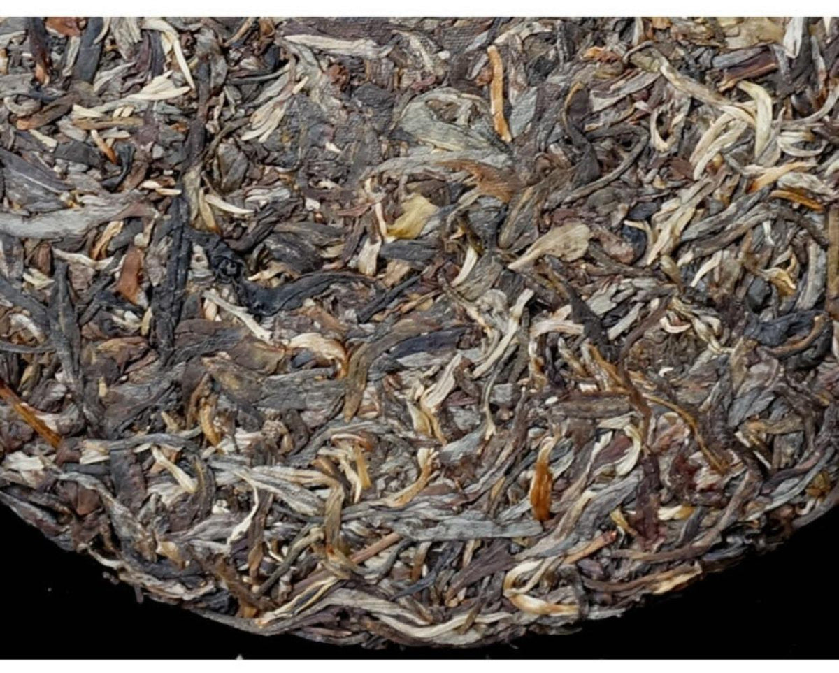 HelloYoungTea Yunnan Yiwu Guafengzhai 2021 Premium Ancient Tree Raw Pu-erh Gong Tea Cake 357g