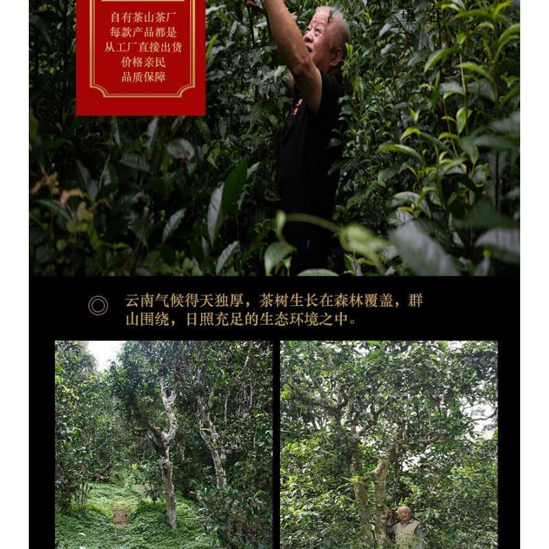 HelloYoungTea 200g Tianxiang BrownMountain Ripe Cake Yunnan Menghai Pu'er Seven Hand Torn Cake