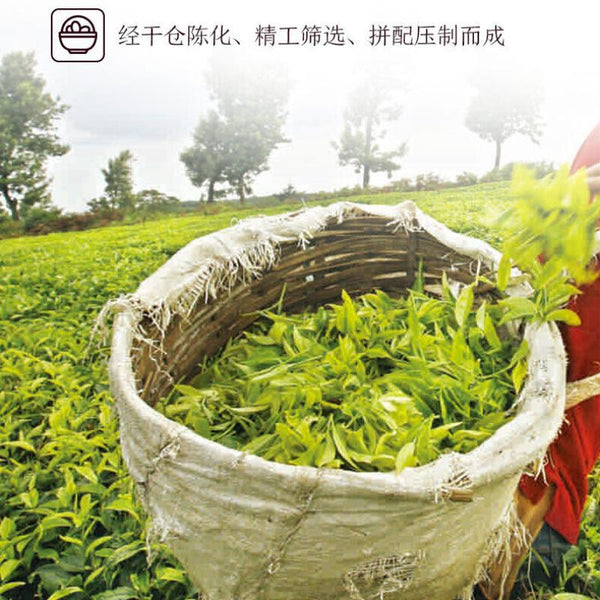 HelloYoungTea 2019 Old Tree Chunqiu San Hao Raw Pu-erh Sheng Cha 357g Zhongcha Pu'er Puer Tea