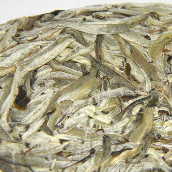 HelloYoungTea 2020 Spring Sheng Puerh, Pekoe Silver Needle Moonlight Beauty 357g