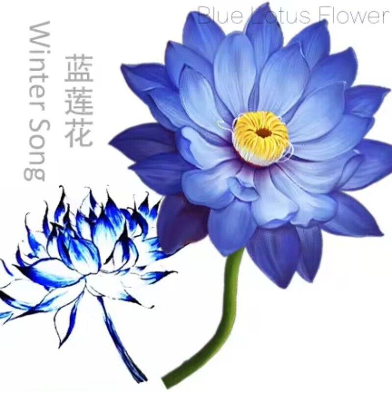 HelloYoungTea Natural Base Planting Pesticide Free Chinese Herb Dried Blue Lotus Flower